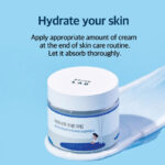 Round Lab Birch Juice Moisturizing Cream 80ml - Image 2